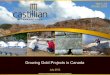 Castillian Resources Corporate Presentation