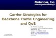 Carrier Strategies for Backbone Traffic Engineering and QoS