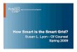 How Smart Is The Smart Grid (Susanlyon   I Tech Law09)