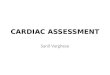 Cardiac assessment