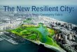 The New Resilient City