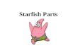 Sp06 starfish parts 1