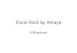 Coral Rock by Amaya, Hikkaduwa - Sri Lanka