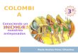 colombia indigena