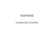 Testwise generating reports