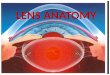Lens anatomy sivateja
