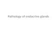 Pathology of endocrine glands