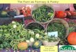 The Farm as Farmacy and Pantry
