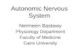 Autonomic Nervous System - Physiology