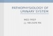 Pathophysiology of urinary system