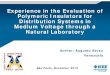 Experience in the Evaluation of Polymeric Insulators for Distribution Systems in Medium Voltage through a Natural Laboratory