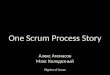 One Scrum Process Story