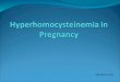 Hyperhomocysteinemia in pregnancy fin (1)
