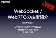 WebSocket / WebRTCの技術紹介