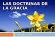 Doctrinas de la Gracia - Introducción