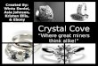 Crystal Cove Final Presentation