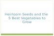 Heirloom Seeds and the 5 Best Vegetables to Grow