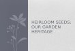 Heirloom Seeds: Our Garden Heritage