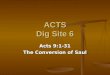 Acts Dig Site 6