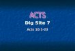 Acts Dig Site 7