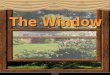 The  Window