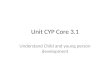 Unit cyp core 3.1 cache