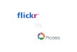Flickr vs Picasa
