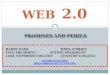 Web2.0: Promises and Perils - Obrien and Dahl