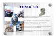 Tema 10 tecnico_profesionalb