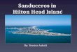 Sanduceros in Hilton Head Island
