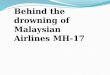 MH17 tragedy