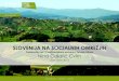 Slovenija na socialnih omrežjih- Nina Colarić Cvirn