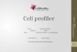 Cell Profiler