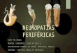 Neuropatias periféricas