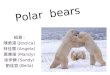 310 polar  bears