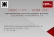 VGM Cube    VGM Geo
