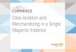 Data Isolation and Merchandizing in a Single Magento Instance | Imagine 2013 Technology | Vitality Golomoziy, Anton Kaplya