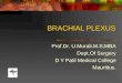 Brachial plexus - Made so Easy