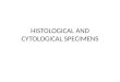 Histological and cytological specimens