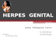 Herpes  genital. dr. ortiz