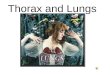 Thorax and Lungs Learning and Understanding Objectives
