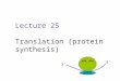 iochemisty Translation (protei synthesis)