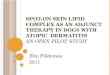 Spot on skin lipid complex as an adjunct therapy in dogs with AD