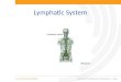Lymphatic system 2014 tas tafe