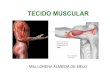 Fisiologia Humana 4 - Tecido Muscular