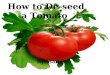 How to De-seed a Tomato