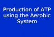 Aerobic system