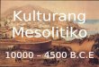 Powerpoint    Ap Mesolithic