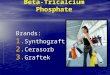 Beta-Tricalcium Phosphate Brands: Synthograft