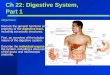 Chapter22 digestivepart1marieb